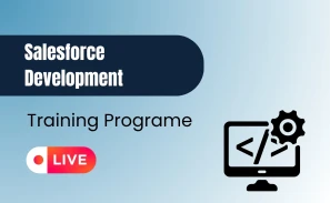 Salesforce Development Course