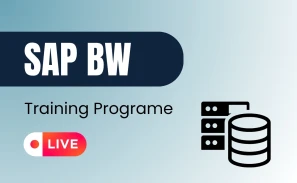 SAP BW Course