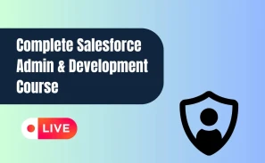 Complete Salesforce Admin & Development Course