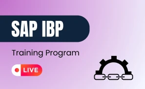 SAP IBP Course