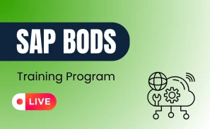 SAP BODS Course