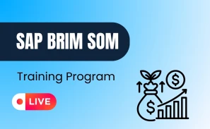 SAP BRIM SOM Course