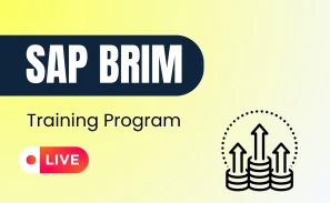 SAP BRIM Course